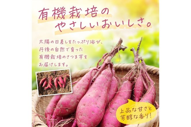 てんとうむしばたけ＞有機さつまいも(紅はるか)5kg BR00030