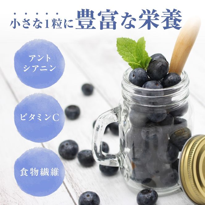 有機肥料で丹精込めて栽培した「ブルーベリー」1kg 栽培期間中