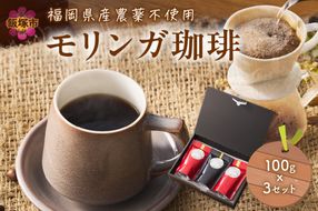 【A5-436】福岡県産モリンガ珈琲