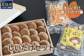 【木箱入】北海道産 生しいたけ(菌床) 乾しいたけ(ひと口・スライス)セット ( きのこ キノコ 椎茸 シイタケ )【038-0007】