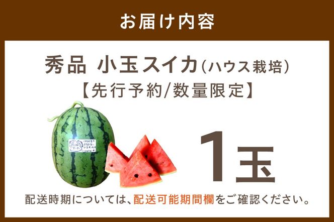 先行予約／数量限定100】にしまるスイカ 秀品 1玉入り（ハウス