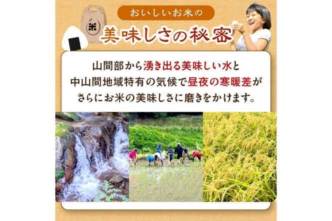 2025年産 京都・久美浜産 特別栽培米コシヒカリ 1.5kg×2袋　AL00007