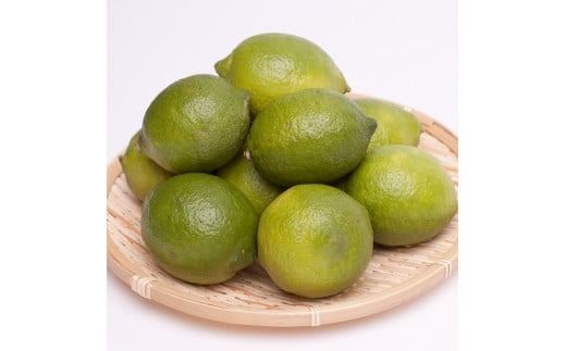 レモン2.5kg+250g（傷み補償分）【和歌山有田産】【防腐剤・WAX不使用、安心の国産レモン】 ※北海道・沖縄・離島への配送不可 /レモン れもん 柑橘 フルーツ 果物 果実 【ikd136B】