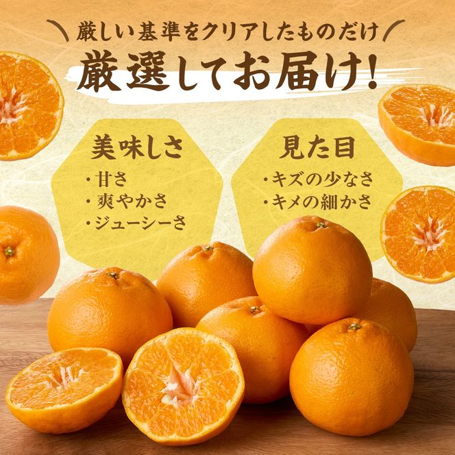 旬のミカンをお届け！JAむなかた柑橘ブランド「姫神」5kg 甘くておいしいみかん【2026年1月～4月上旬発送】【ほたるの里】_HA0280