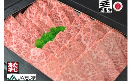 yɌLszAn ēp ~蕔 500g /  ē ~ Ԑg An јa a Y Ă   ₫ɂ yJA ̓X{Xz