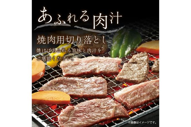 京都産和牛　焼肉用切り落とし　約450ｇ　【京都モリタ屋専用牧場】　MO00021