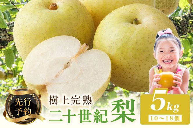 ys{Oszys\z㊮n \I 5kg(10`18)i2026N8{`j@BF00002