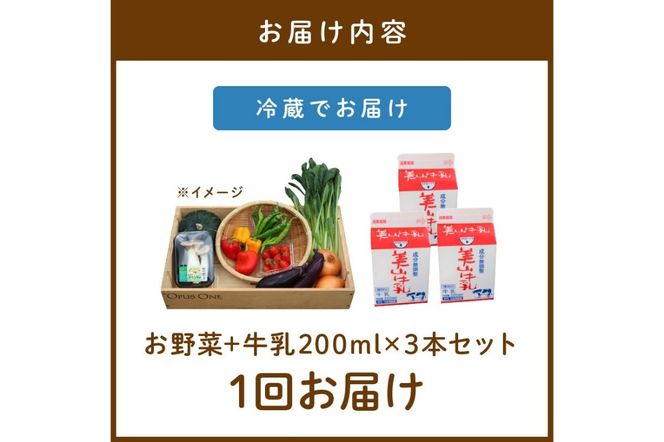 有機野菜・京野菜の『京都やおよし』のお野菜＆牛乳200ml×3本の詰め合わせ　AA00043
