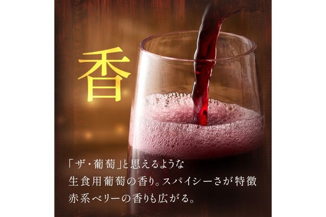 【丹波ワイン】京丹後産サペラヴィスパークリング 丹波ワイン　750ml　NZ00013