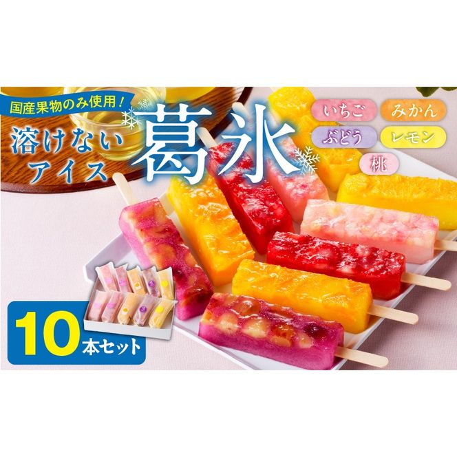 とけないアイス　葛氷10本セット［009B11］
