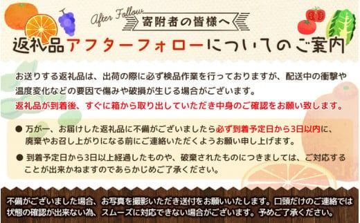 ＼光センサー選別／ ちっちゃな有田みかん こつぶみかん 約10kg （3S～Sサイズ混合）有機質肥料100% ※2026年11月中旬頃～2027年1月上旬頃に順次発送予定（お届け日指定不可） 先行予約 みかん 有田みかん 温州みかん ミカン 小粒 柑橘 フルーツ 果物【nuk153B】