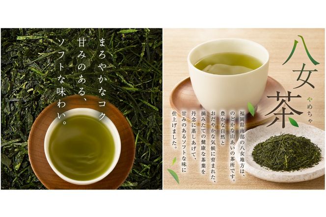 【Z3-047】＼ポスト投函／八女茶 深蒸し茶煎茶 100g