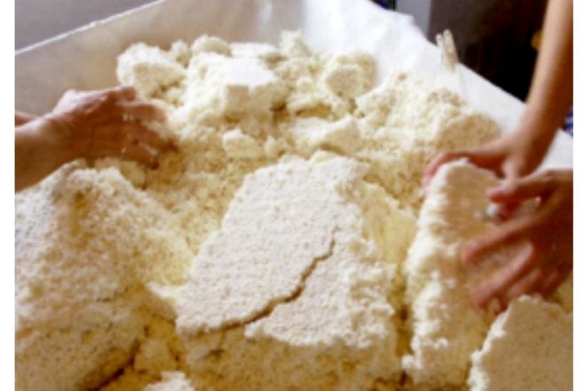 京都・久美浜産 米糀（生） 1kg　AL00005