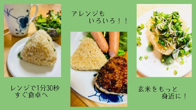 10B1玄米deむすび　3パック