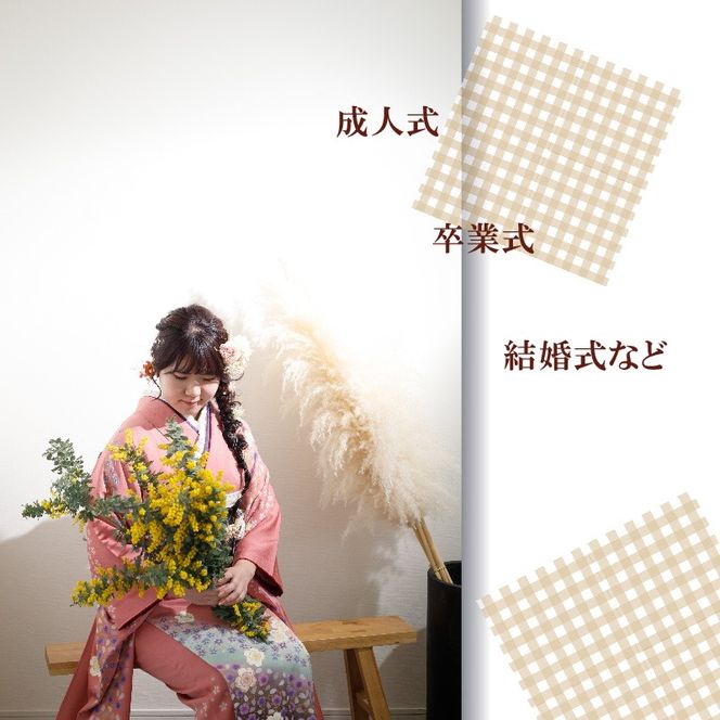 振袖着付け［146M02］