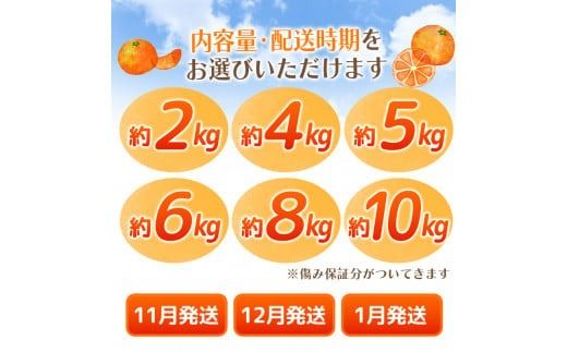 【2025年12月発送予約分】【家庭用】こだわりの有田みかん 約5kg＋250g(傷み補償分) ※サイズ混合 有機質肥料100% ※北海道・沖縄・離島配送不可  ＼光センサー選別 ! ／ 【農家直送】