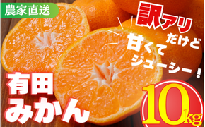 【訳あり】農家直送 有田みかん 約10kg ご家庭用 サイズ混合 ※2025年11月中旬から2026年1月中旬までに順次発送予定（お届け日指定不可）※北海道・沖縄・離島への配送不可　【nuk138E】