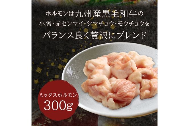 【B3-078】九州産黒毛和牛もつ鍋（醤油）2人前