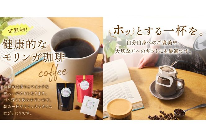 【B3-065】モリンガ珈琲&モリンガ珈琲ドリップタイプ