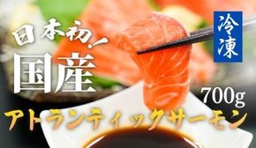 C63【寄附翌月第4金曜発送】日本初！今話題の国産アトランティックサーモン「FUJI ATLANTIC SALMON」【冷凍】700ｇ