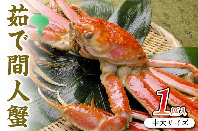 ys{OszOsY 䥂ŊԐlI yIz TCY@taizakani800@SS00110