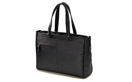 yɌLszBAGGEX@Ł@g[gobO@13-1101iubNj