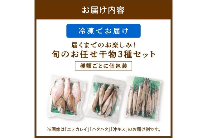 京丹後の地元魚屋が作ったお任せ干物セット（冷凍）　TB00024