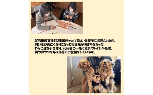 《14営業日以内に発送》パラコード製 ストラップ1個 キーホルダー2個 3点セット ( ペット 犬 小物 わんこ 手作り )【195-0001】