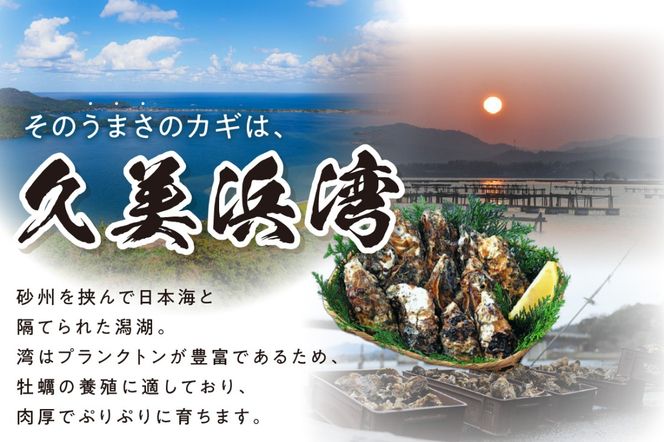 【年末年始（12月26日～1月4日）発送対応】京都・京丹後産牡蠣　カンカン焼き　約25個【軍手・ナイフ付き】　AH00025