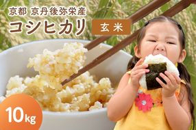 【先行予約】丹後弥栄産コシヒカリ（玄米10kg） コシヒカリ 玄米 おこめ おにぎり 京都産 お米 ふるさと納税 こしひかり　NF00006