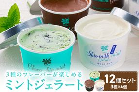 ミントジェラート カップ 3種×4個 ( ジェラート アイス アイスクリーム ハッカ チョコ ミント ミントアイス スイーツ チョコチップミント カカオ カップアイス ふるさと納税 )【007-0018】