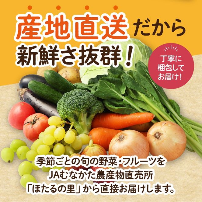 【偶数月お届け】むなかた旬のお任せセット(野菜・フルーツ) 9～11品 【JAほたるの里】_HB0174