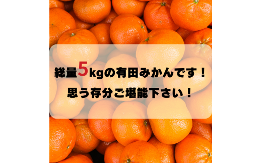 【訳あり】農家直送 有田みかん約5kg ご家庭用 サイズ混合 ※2025年11月中旬から2026年1月中旬までに順次発送予定（お届け日指定不可）※北海道・沖縄・離島への配送不可　訳ありみかん 温州みかん サイズ混合 有機質肥料100% ふるさと納税 柑橘 有田 産地直送 【nuk161D】