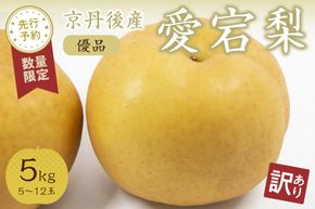 【先行予約／数量限定100】【訳あり】愛宕梨 優品 5kg（5～12玉入り）（2026年11月下旬～発送）国産 あたご梨 5〜12 個  梨 なし 期間限定 ふるさと 納税 訳あり 規格外 フルーツ くだもの 果物 傷 農家直送 ふるさと納税 梨 訳あり　SF00049