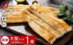 特製タレ 山椒付き 大型1尾 鰻一筋「うな幸」のふわとろ白焼き(“国産”大サイズ1本入り) / うなぎ ウナギ 鰻 白焼き 1尾 タレ セット 真空パック レンジ