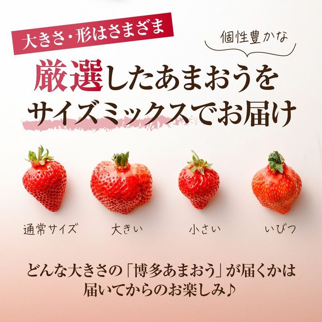 【アフター保証】どこよりも早くお届け！12月発送「博多あまおう」約280g×4パック【ほたるの里】_HA0502