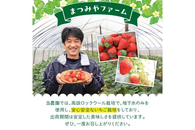 【先行予約／数量限定200】【特選】京都・まつみやファームの大粒いちご（あきひめイチゴ）15～20粒（2026年2月上旬～発送）　MY00009