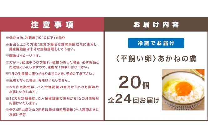 【J92-002】〈平飼い卵〉あかねの虜（20個）【全24回お届け】