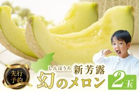 【先行予約】幻のメロン 新芳露 2玉（2026年7月下旬～発送）　BF00004