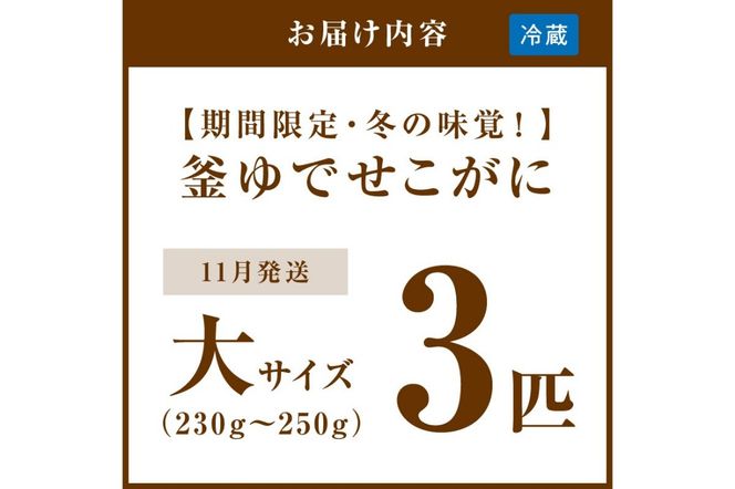 【期間限定・冬の味覚！】釜ゆでせこがに 大サイズ (230ｇ～250ｇ) 3匹入り （11月発送）／北畿水産 蟹 魚介類 魚介 せこかに ふるさと納税 かに　HK00280