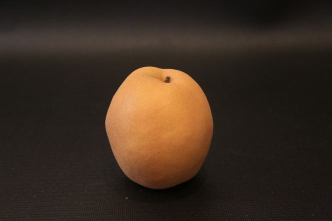 【先行予約／数量限定200】農家直送 秋の王様 「王秋」5kg（概ね7玉～12玉）（2026年11月上旬～発送）　DE00169