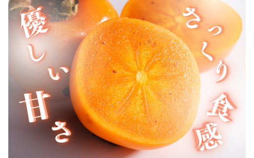 【☆令和7年産☆先行予約】たねなし柿 刀根柿【ご家庭用サイズおまかせ】(約7.5kg以上)【2025年9月下旬～10月上旬に順次発送致します。】/ 和歌山県 紀美野町  種なし カキ 柿 かき 刀根 