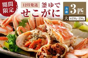 【期間限定・冬の味覚！】釜ゆでせこがに 大サイズ (230ｇ～250ｇ) 3匹入り （12月発送）／北畿水産 蟹 魚介類 魚介 せこかに ふるさと納税 かに　HK00281