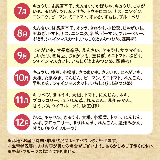 【毎月お届け】むなかた旬のお任せセット（野菜・フルーツ）9～11品【JAほたるの里】_HB0175