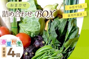 【定期便4回】直売所直送 「京都・京丹後産 季節の野菜」お任せ詰め合わせBOX（5品） 春夏秋冬定期便4回 　JA00068