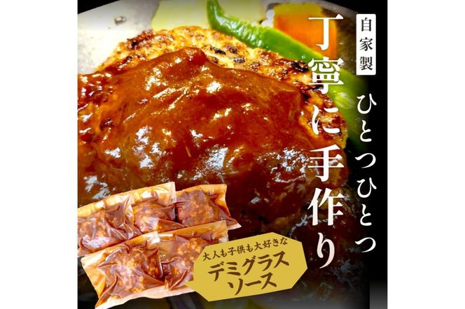 京都産三元豚ハンバーグ　6個セット　TN00022