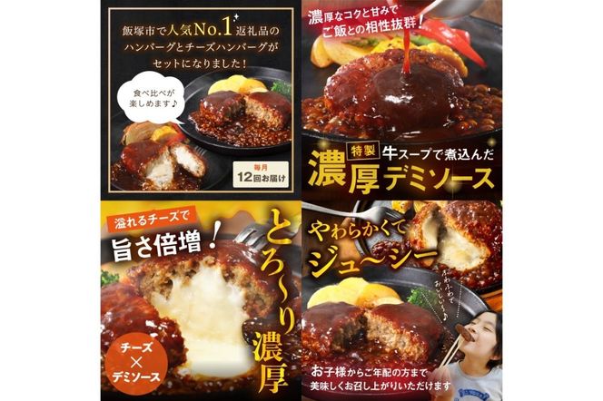 【J8-004】飯塚市王道ハンバーグセットA【12カ月定期便】