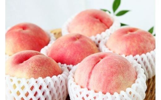 【先行予約】紀州和歌山産の桃　約4kg　化粧箱入 ※2026年6月下旬頃〜2026年8月上旬頃順次発送（お届け日指定不可） / もも モモ 桃 ギフト 贈り物 プレゼント 夏ギフト 果物 フルーツ 人気 産地直送 和歌山県 お取り寄せ 【uot723A】