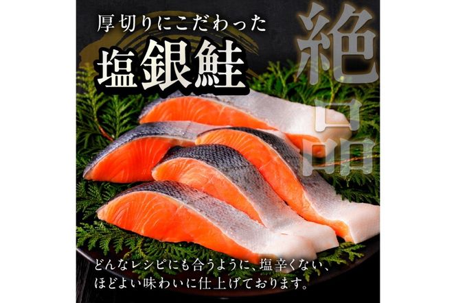 お手軽！絶品！厚切り　塩銀鮭切身 約1kg（プロトン凍結　訳あり　不揃い）　定期便　月1回×3ヵ月　YK00364