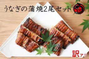 【B-186】訳アリ！うなぎ蒲焼2尾セット